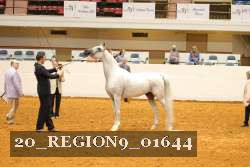 20_REGION9_01644 proof