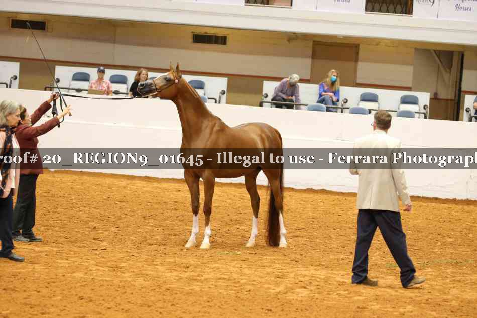 Proof 20_REGION9_01645