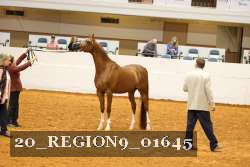 20_REGION9_01645 proof