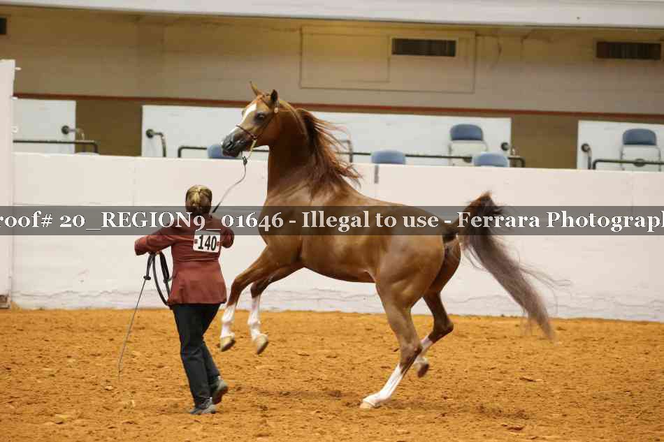 Proof 20_REGION9_01646
