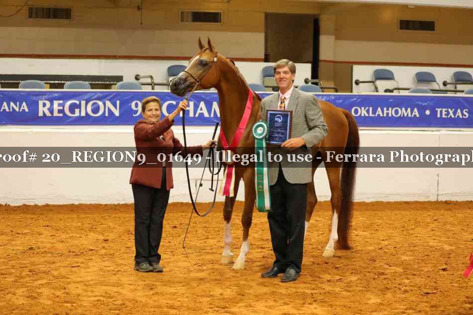 Proof 20_REGION9_01649