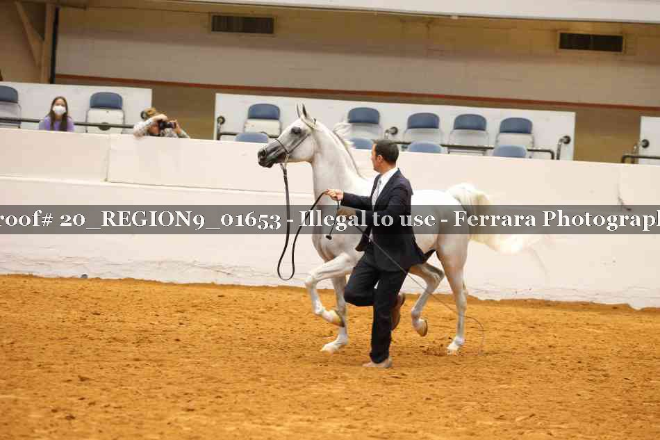 Proof 20_REGION9_01653