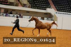 20_REGION9_01654 proof