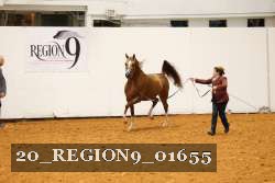 20_REGION9_01655 proof