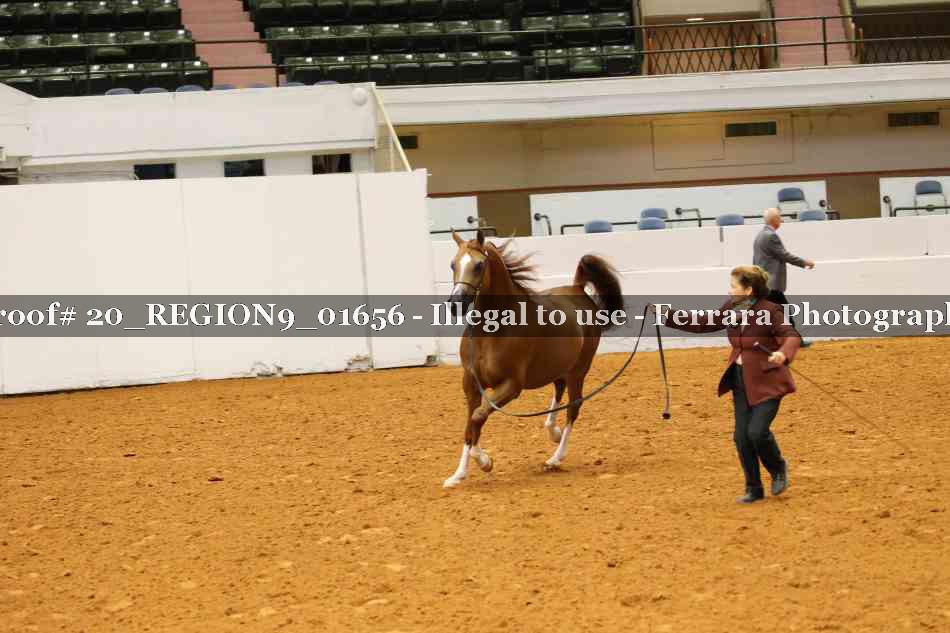 Proof 20_REGION9_01656