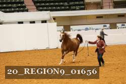 20_REGION9_01656 proof