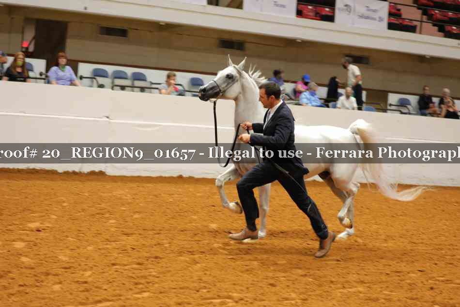 Proof 20_REGION9_01657