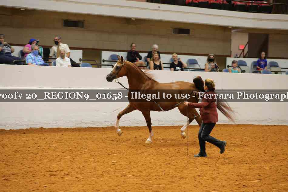 Proof 20_REGION9_01658