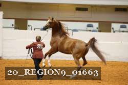 20_REGION9_01663 proof