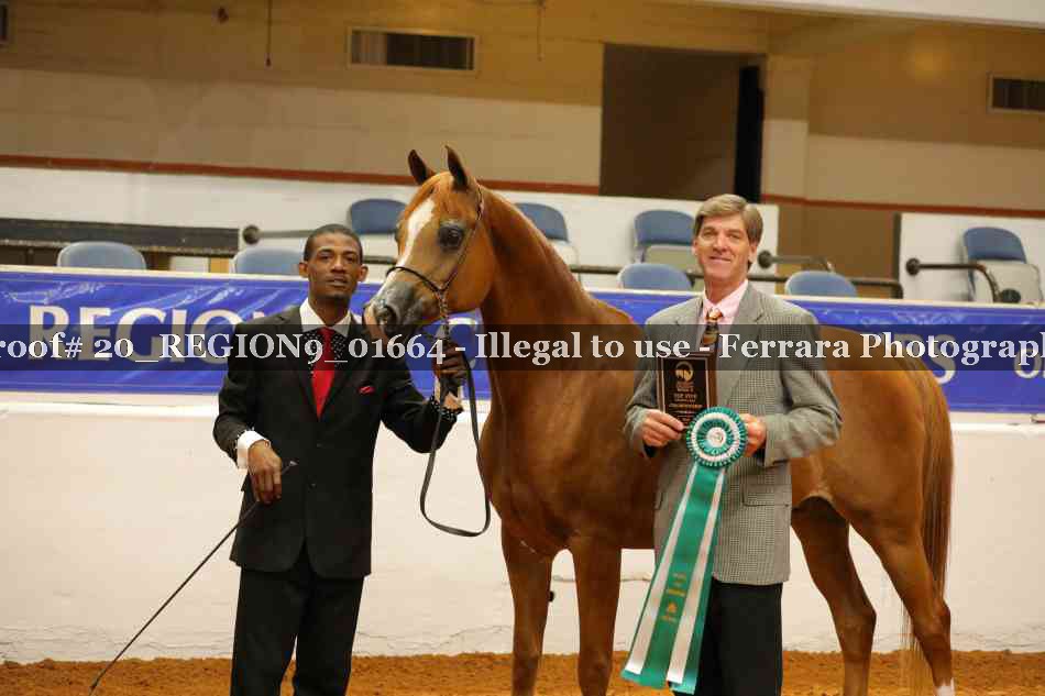 Proof 20_REGION9_01664