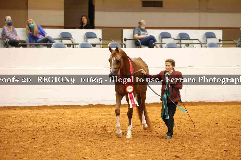 Proof 20_REGION9_01665