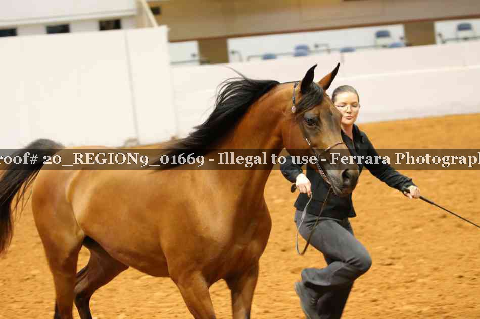 Proof 20_REGION9_01669
