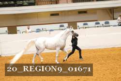 20_REGION9_01671 proof