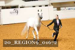 20_REGION9_01672 proof