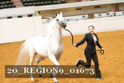 20_REGION9_01673 proof