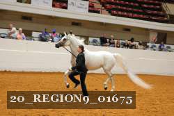 20_REGION9_01675 proof