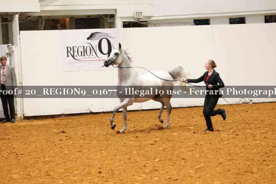 Proof 20_REGION9_01677