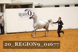 20_REGION9_01677 proof