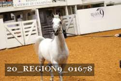 20_REGION9_01678 proof