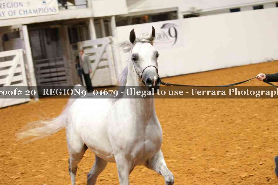 Proof 20_REGION9_01679