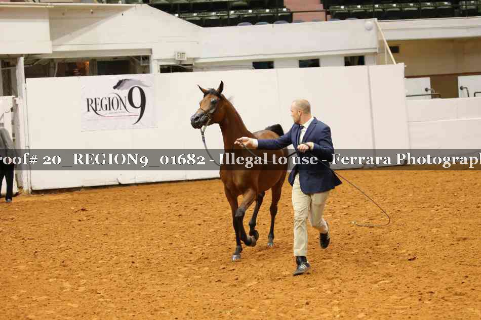Proof 20_REGION9_01682