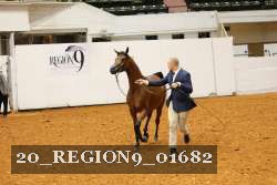 20_REGION9_01682 proof