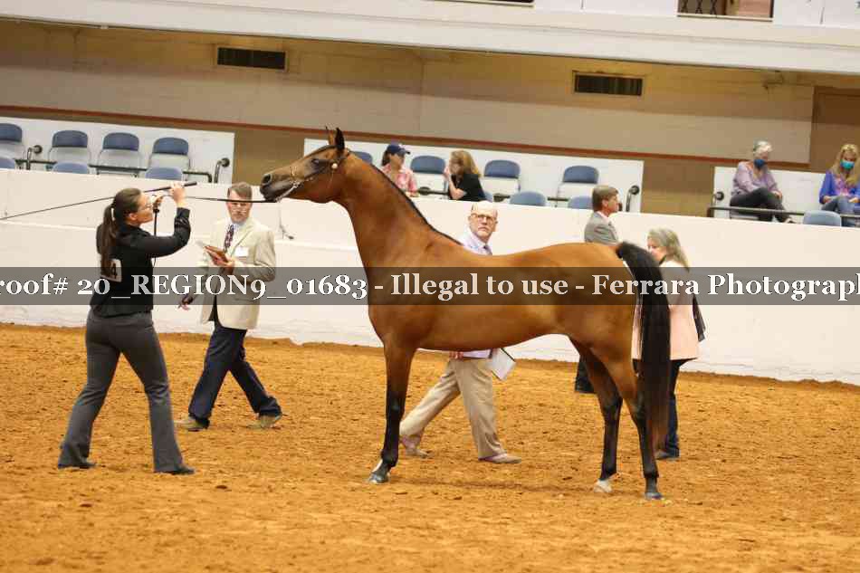 Proof 20_REGION9_01683