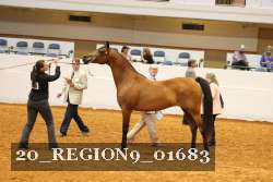 20_REGION9_01683 proof