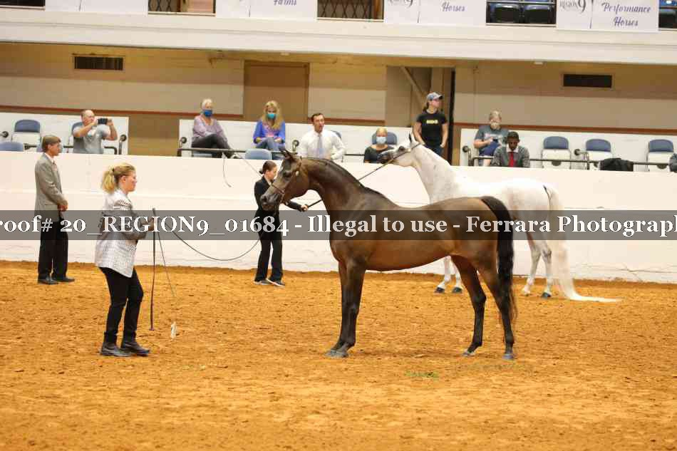 Proof 20_REGION9_01684
