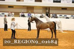 20_REGION9_01684 proof