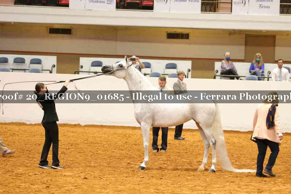 Proof 20_REGION9_01685