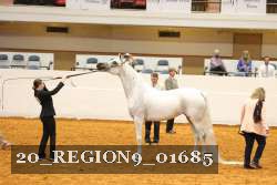 20_REGION9_01685 proof