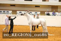 20_REGION9_01686 proof