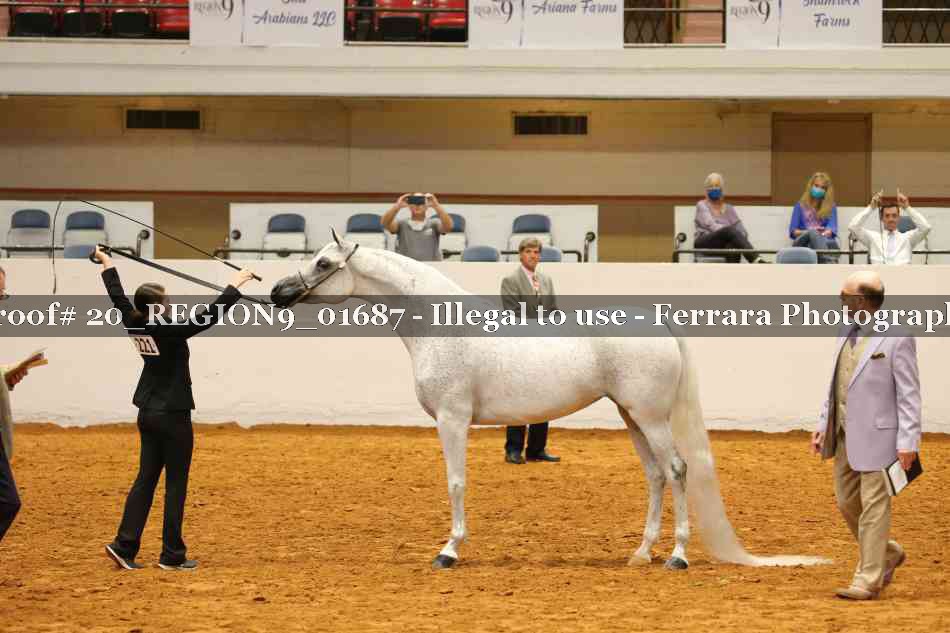 Proof 20_REGION9_01687