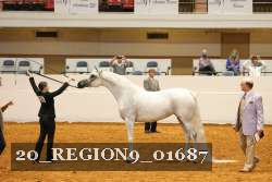 20_REGION9_01687 proof