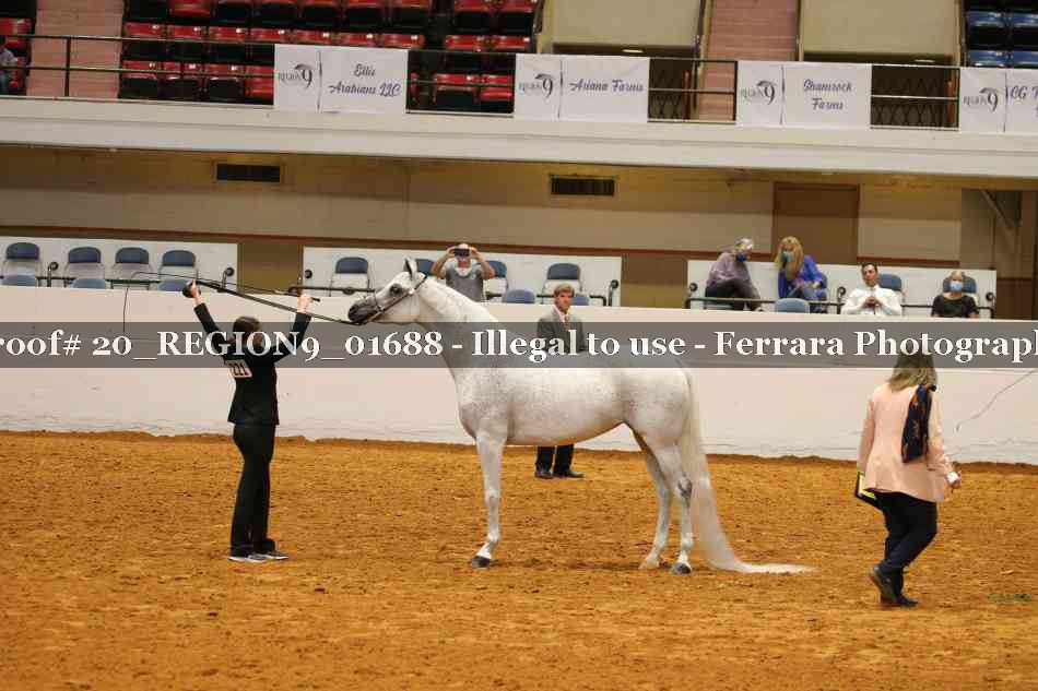 Proof 20_REGION9_01688