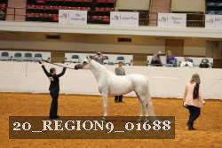 20_REGION9_01688 proof