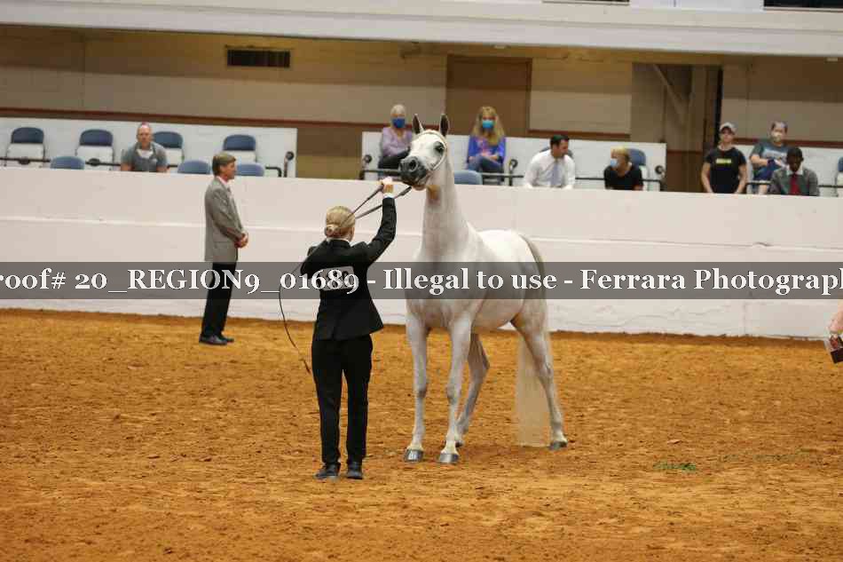 Proof 20_REGION9_01689