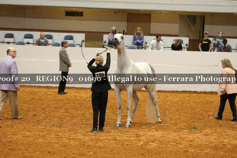 Proof 20_REGION9_01690