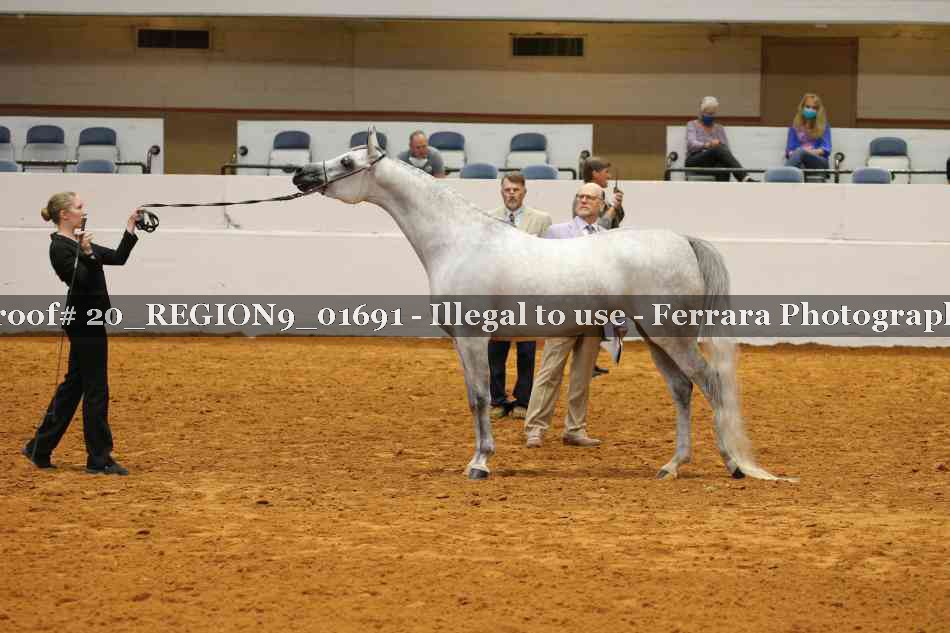 Proof 20_REGION9_01691