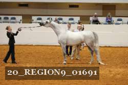 20_REGION9_01691 proof