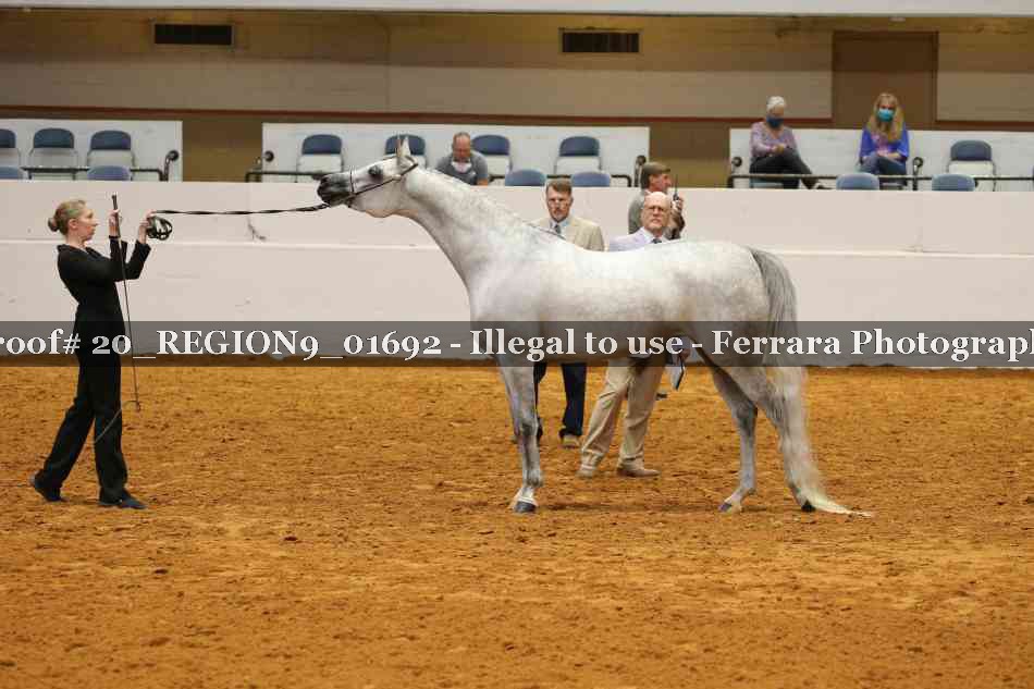 Proof 20_REGION9_01692