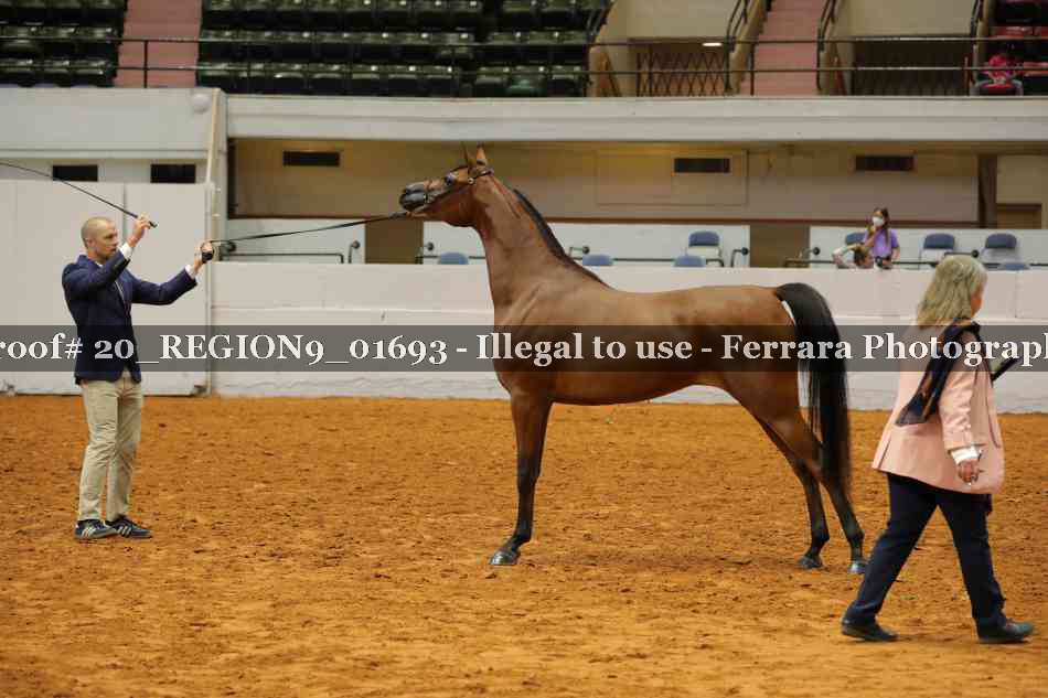 Proof 20_REGION9_01693
