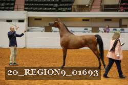 20_REGION9_01693 proof