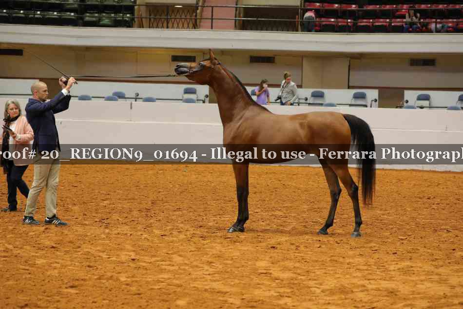 Proof 20_REGION9_01694