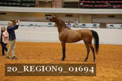 20_REGION9_01694 proof