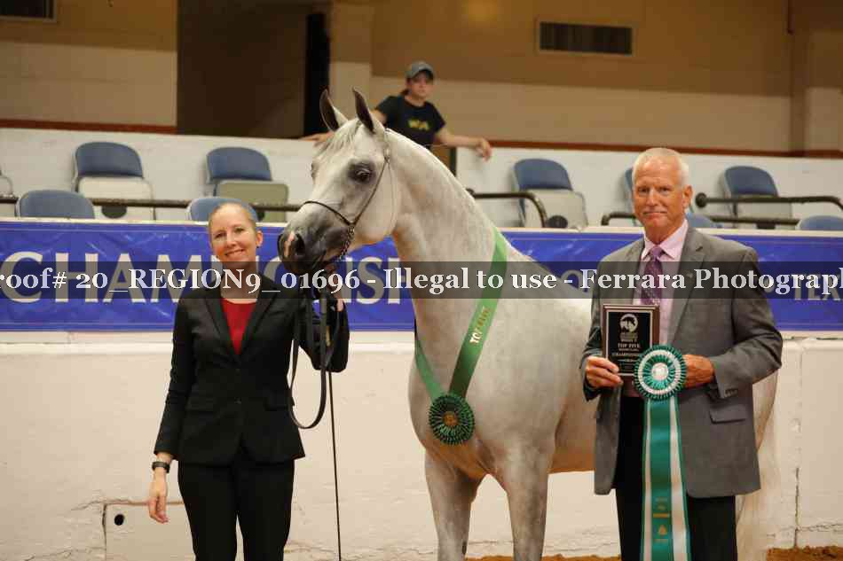 Proof 20_REGION9_01696
