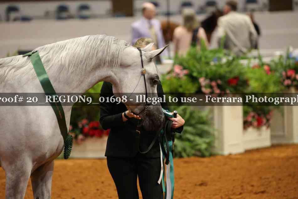 Proof 20_REGION9_01698