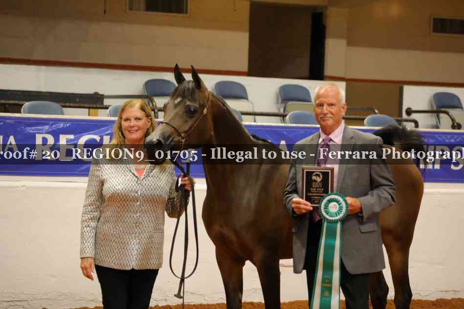 Proof 20_REGION9_01705
