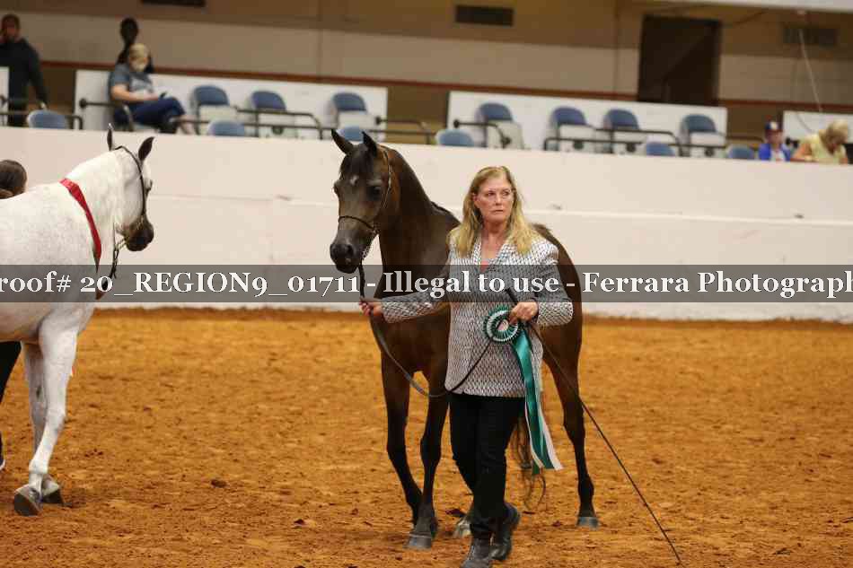 Proof 20_REGION9_01711